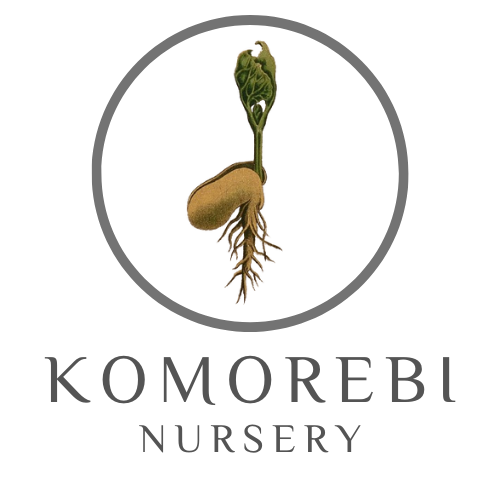 Komorebi Nursery